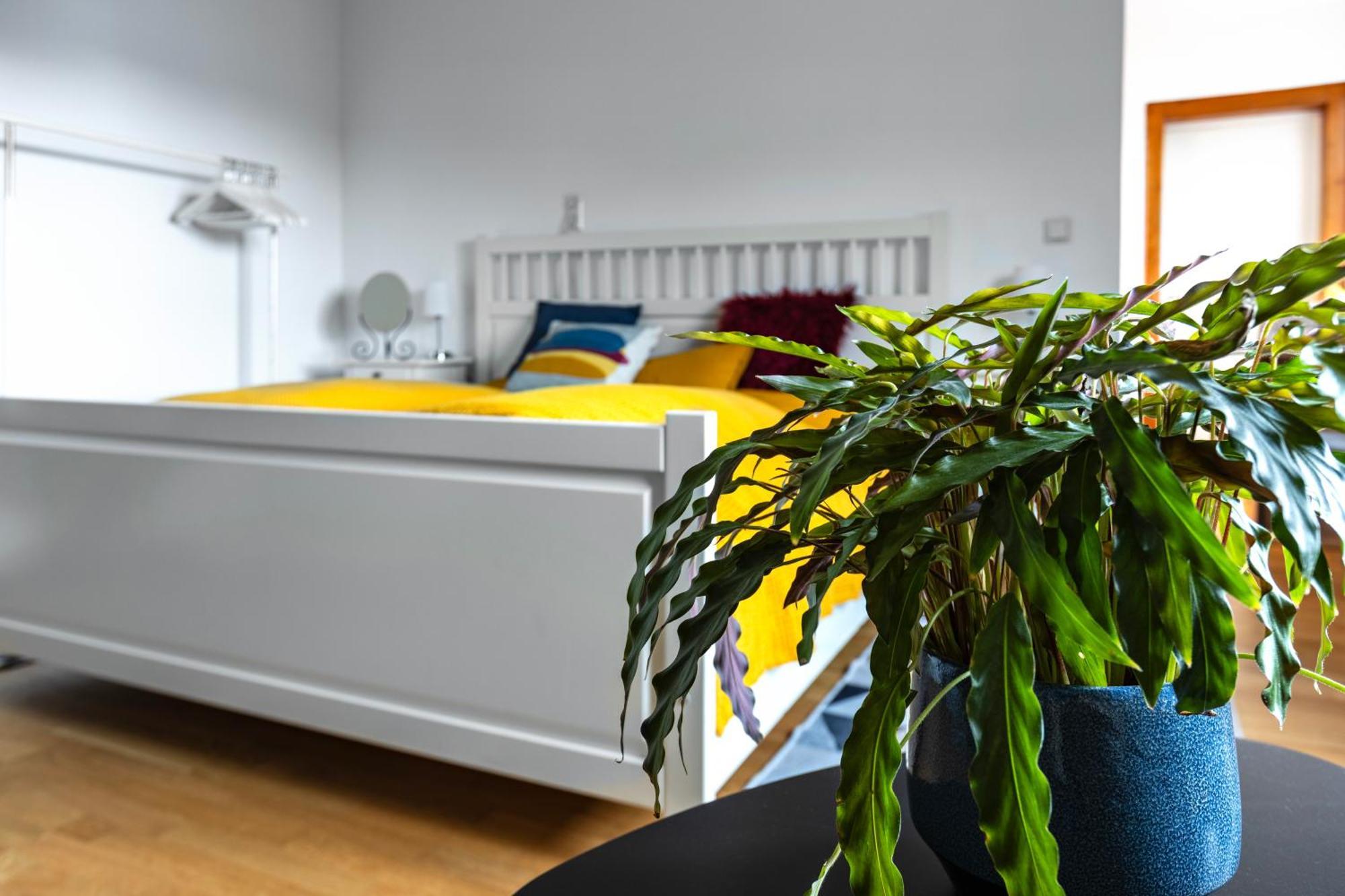 Apartment Karker 2 *